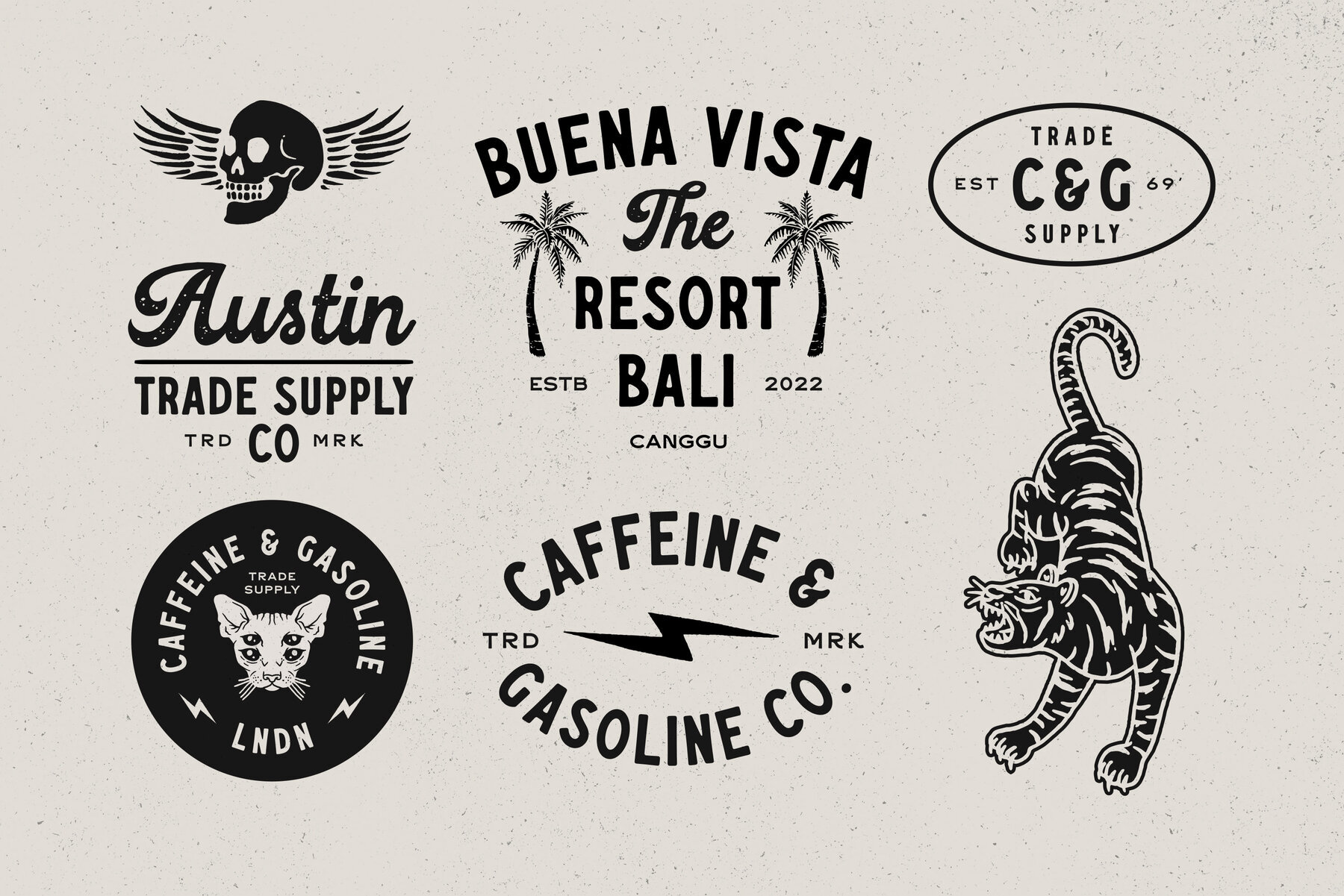 Caffeine and Gasoline 3