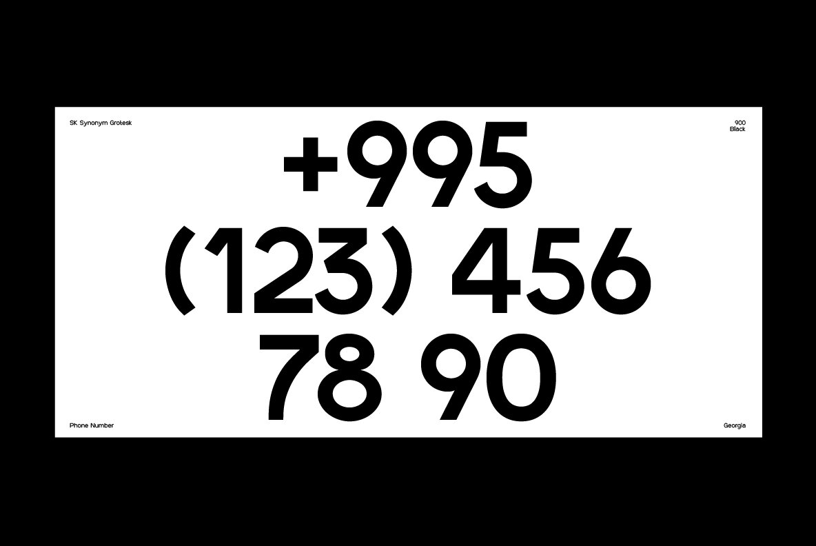 SK Synonym Grotesk 4