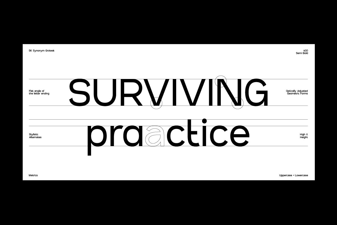 SK Synonym Grotesk 6