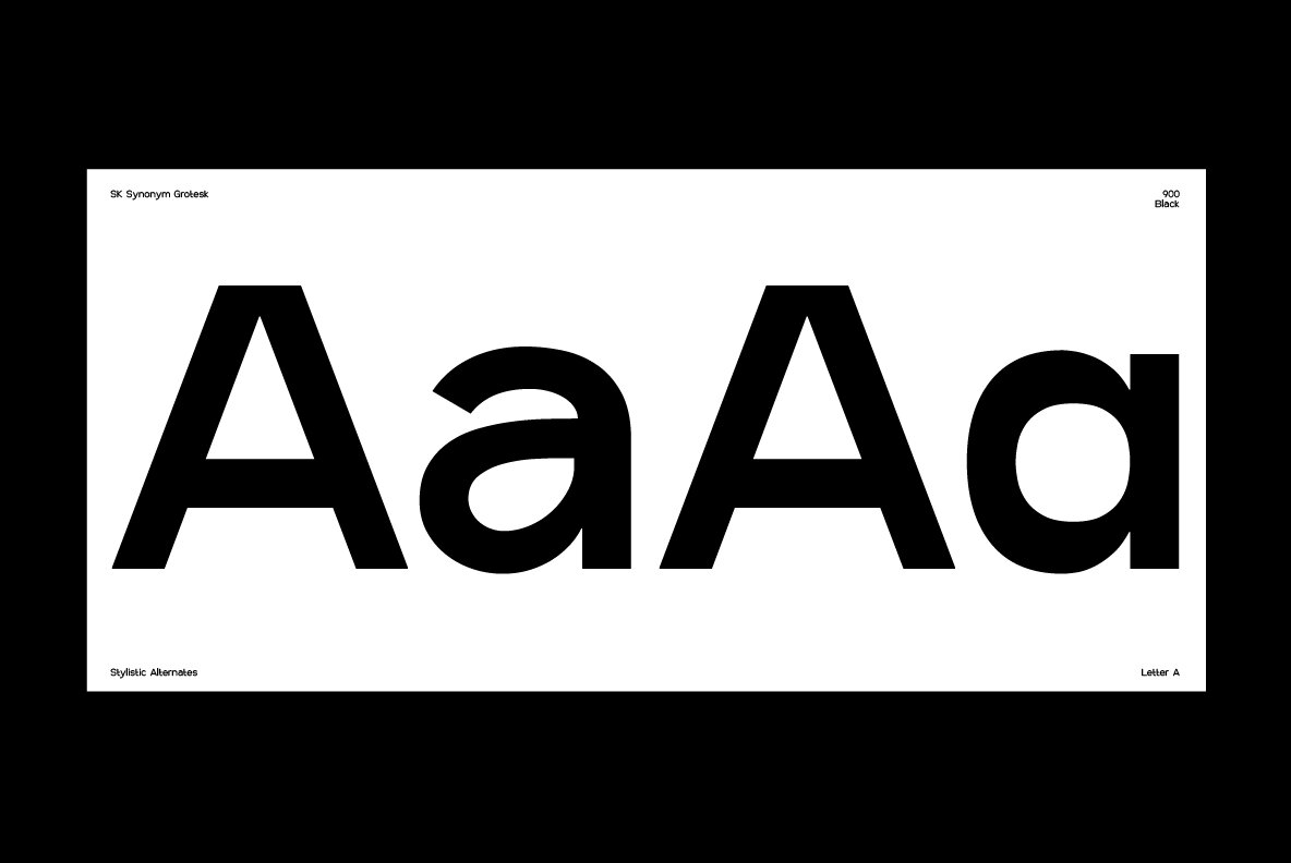 SK Synonym Grotesk 10