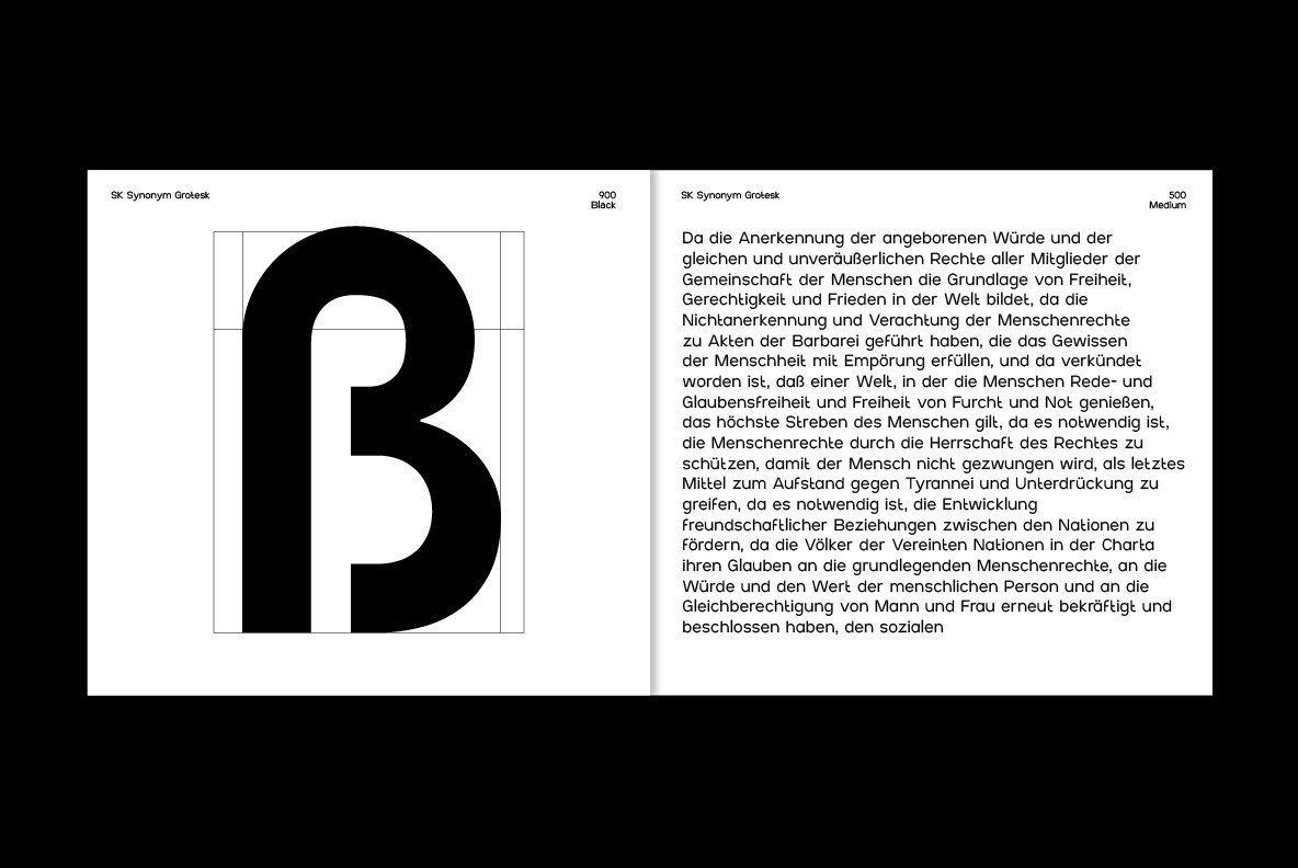 SK Synonym Grotesk 12