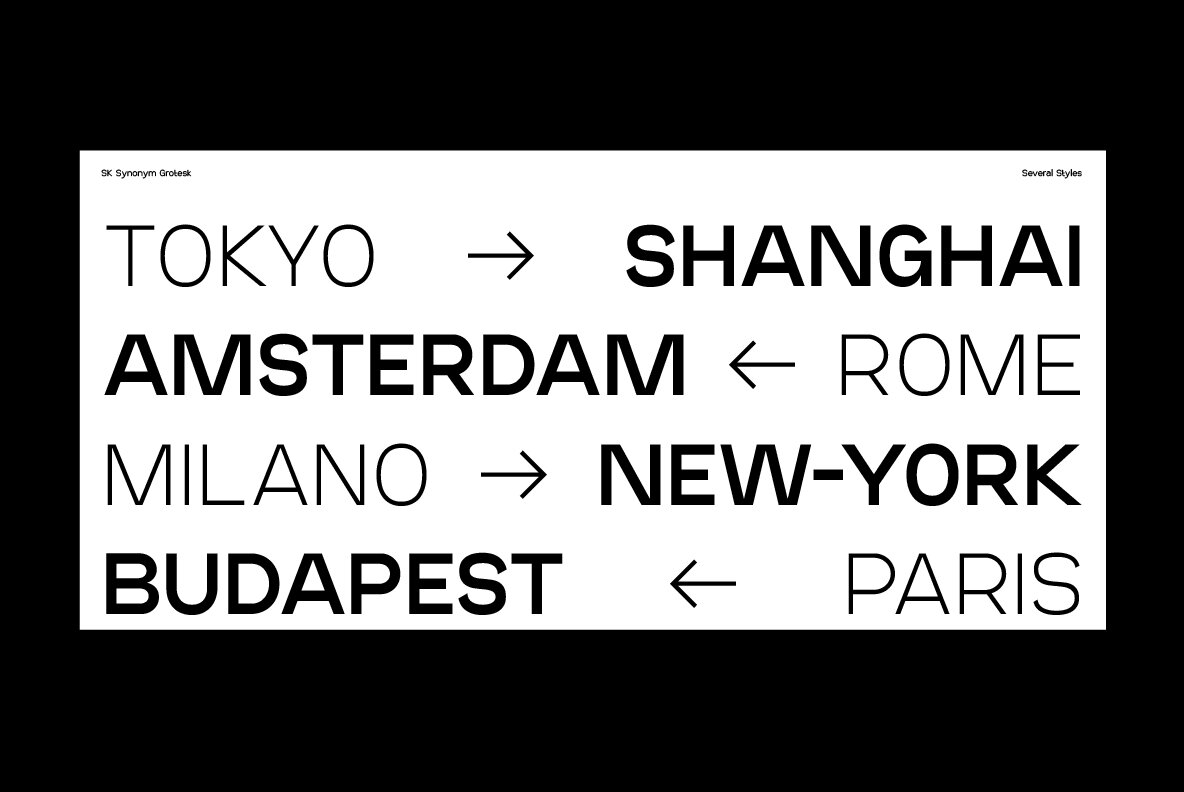 SK Synonym Grotesk 14