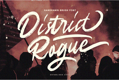 District Rogue