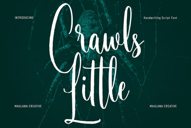 Little Crawls