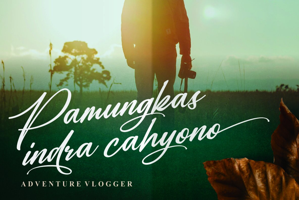 Alexandria Signature 2