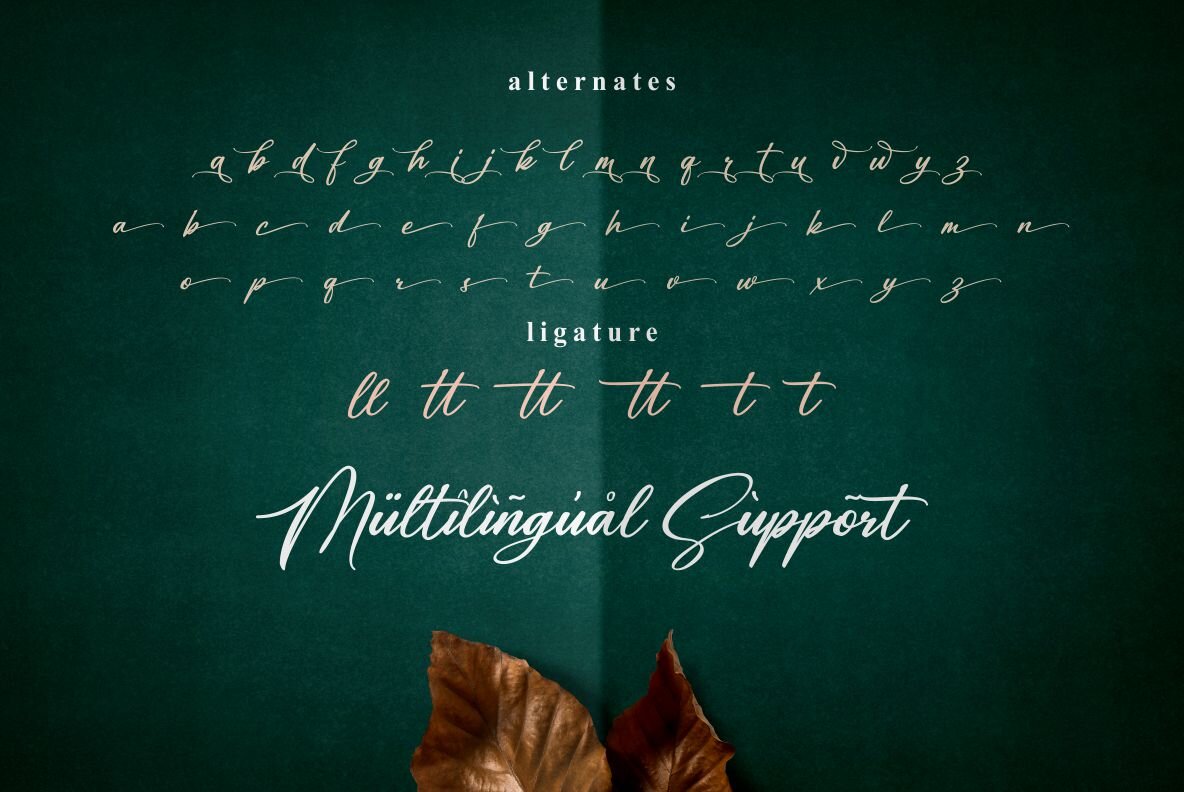 Alexandria Signature 8