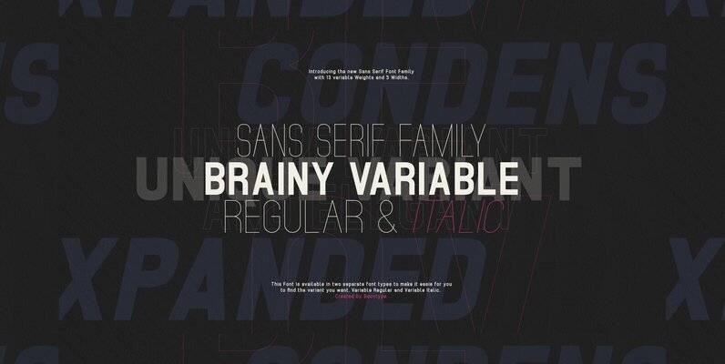 Brainy Variable