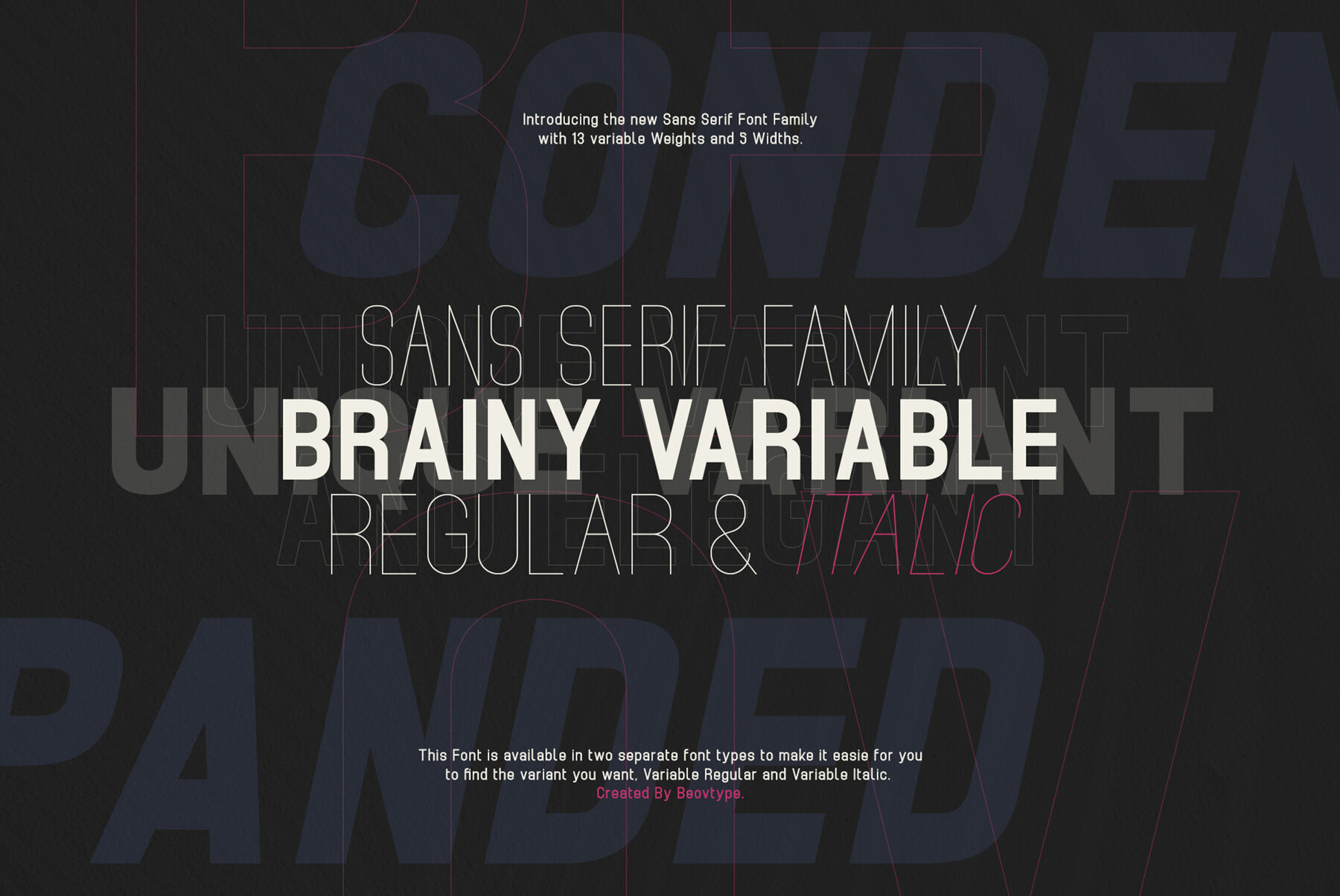 Brainy Variable 1