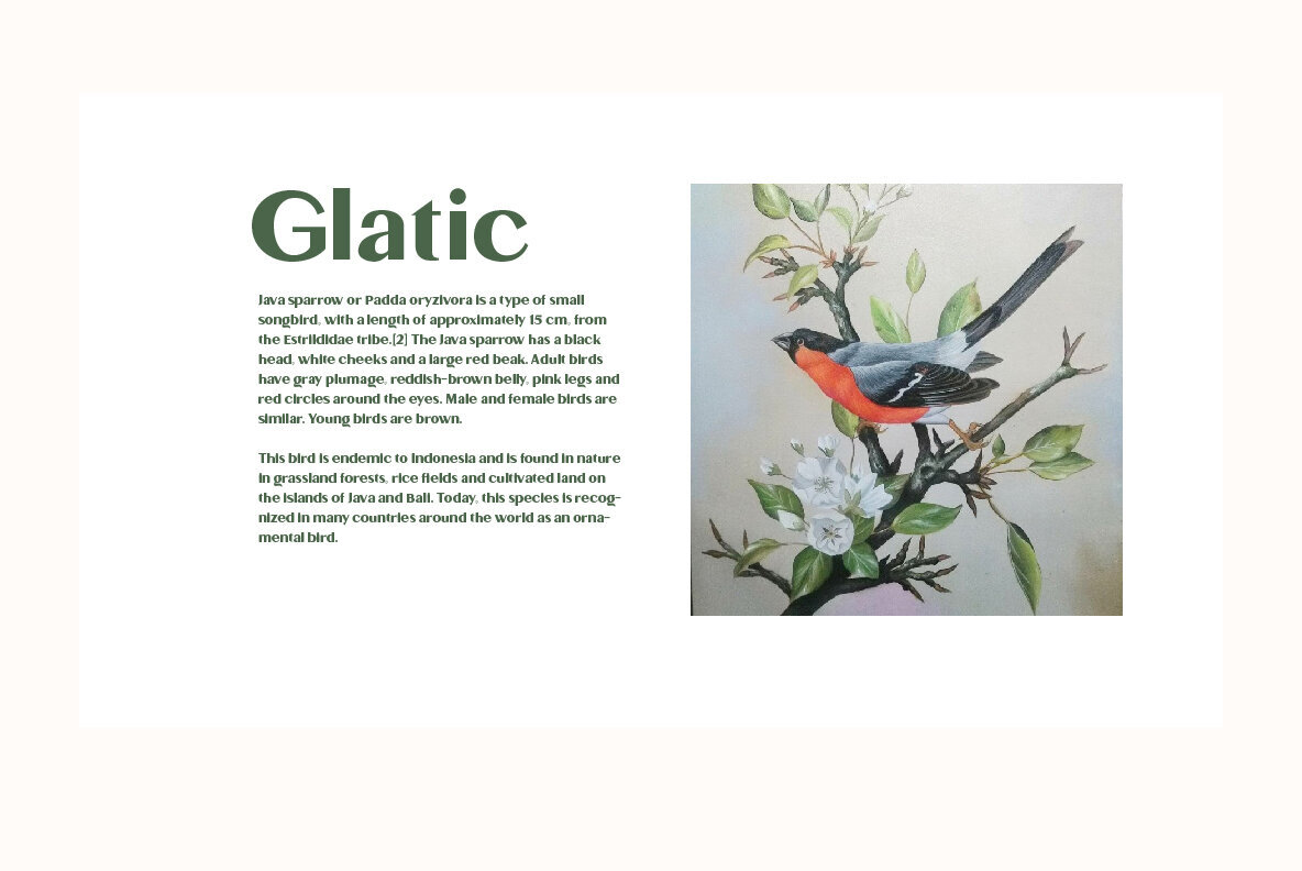 Glatic 3