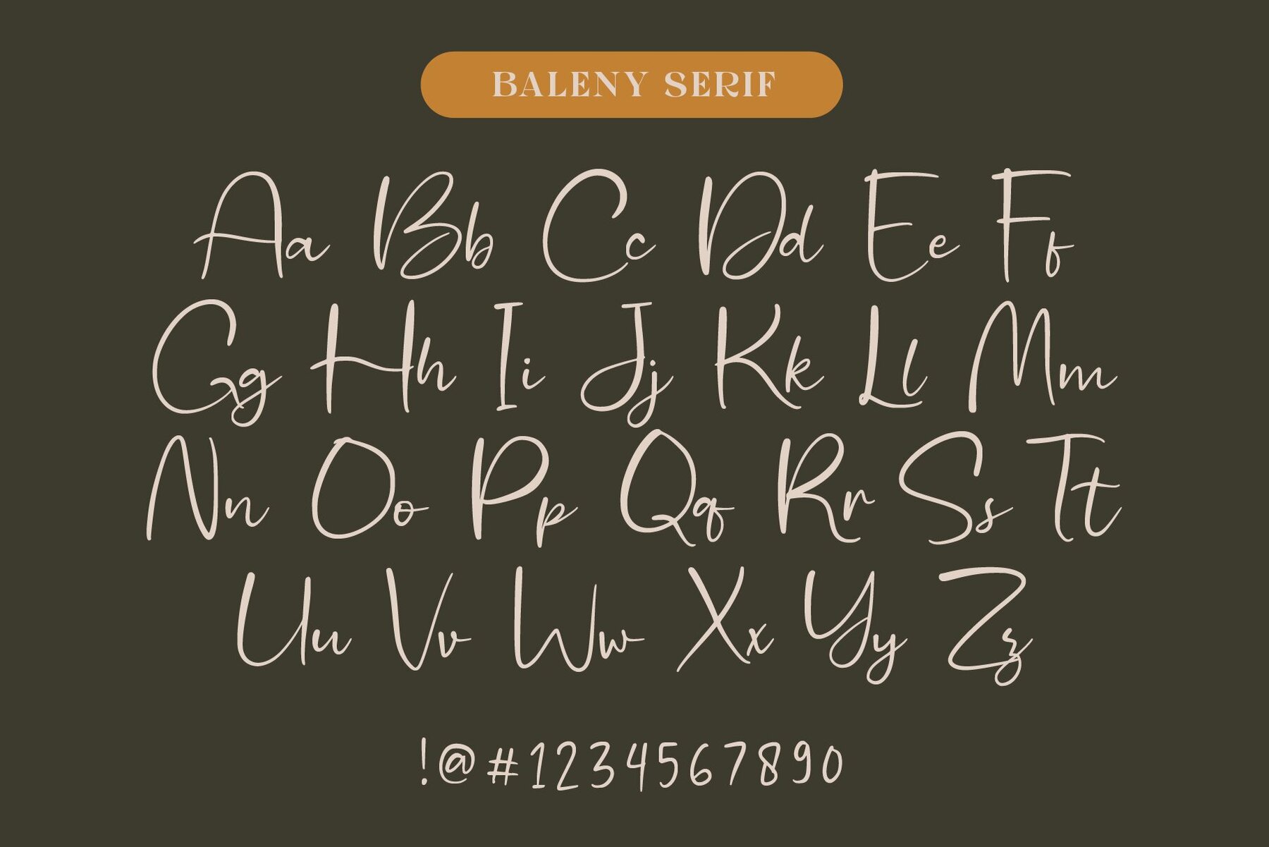 Baleny Elegant Font Duo 4