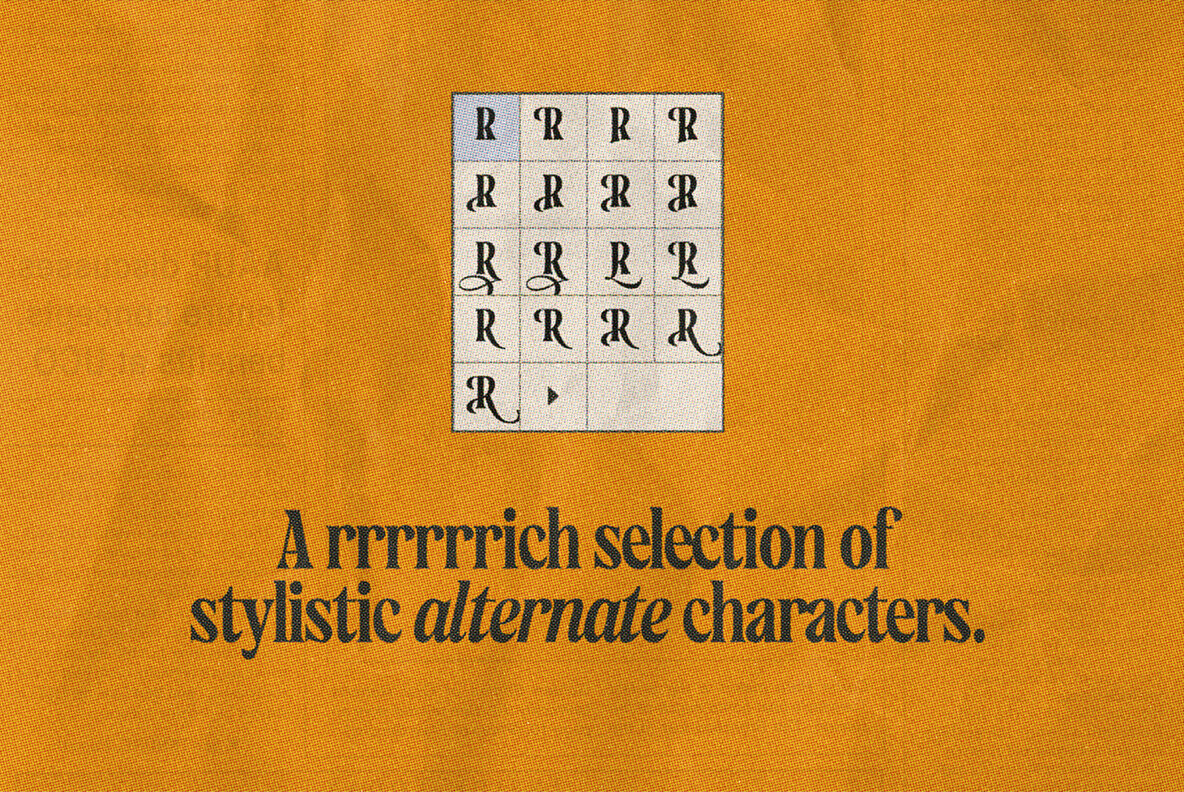 VVDS Hickory Dickory 5