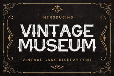 Vintage Museum