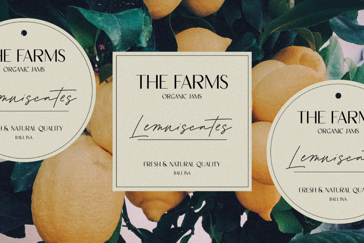 Blueberry and Lemonade 2