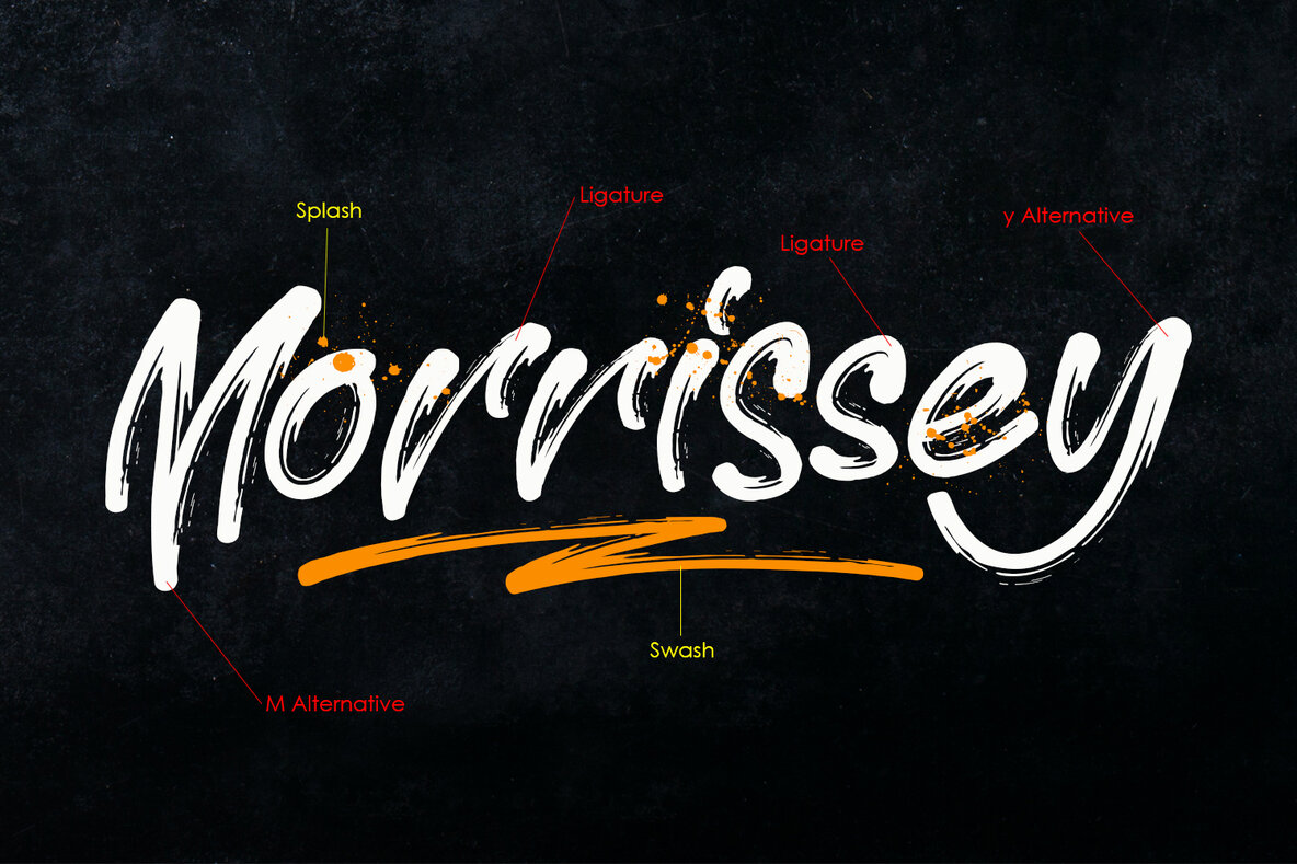 Morrissey 8