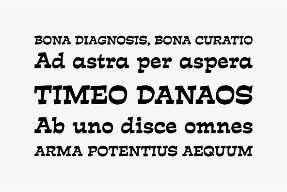 Estro Estro