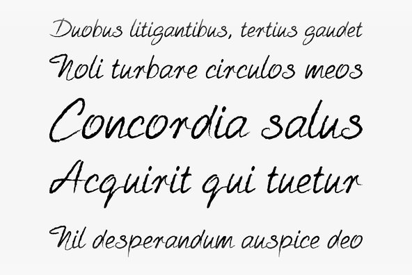 EuroBrush Pro EuroBrush Pro