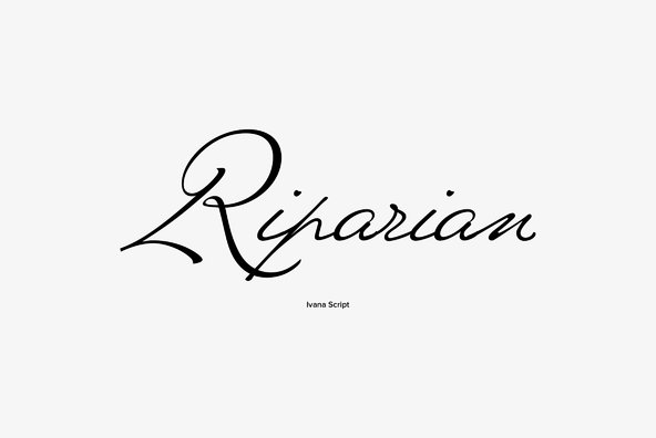 Ivana Script Ivana Script