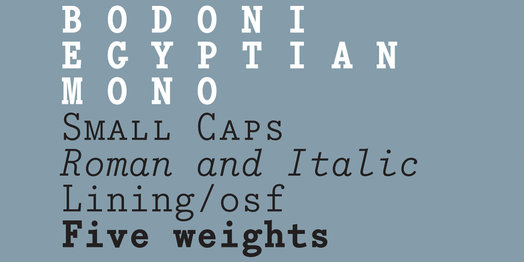 Bodoni Egyptian Mono   1