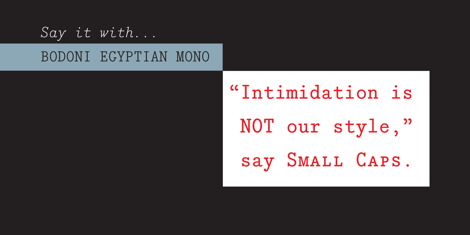 Bodoni Egyptian Mono   6