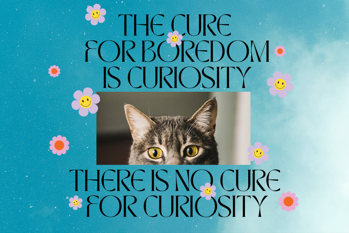 TAN Waltzing Mathilde 2