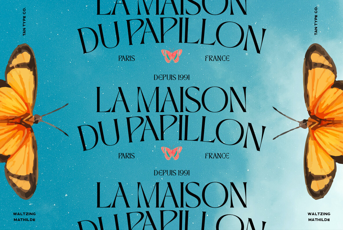 TAN Waltzing Mathilde 3