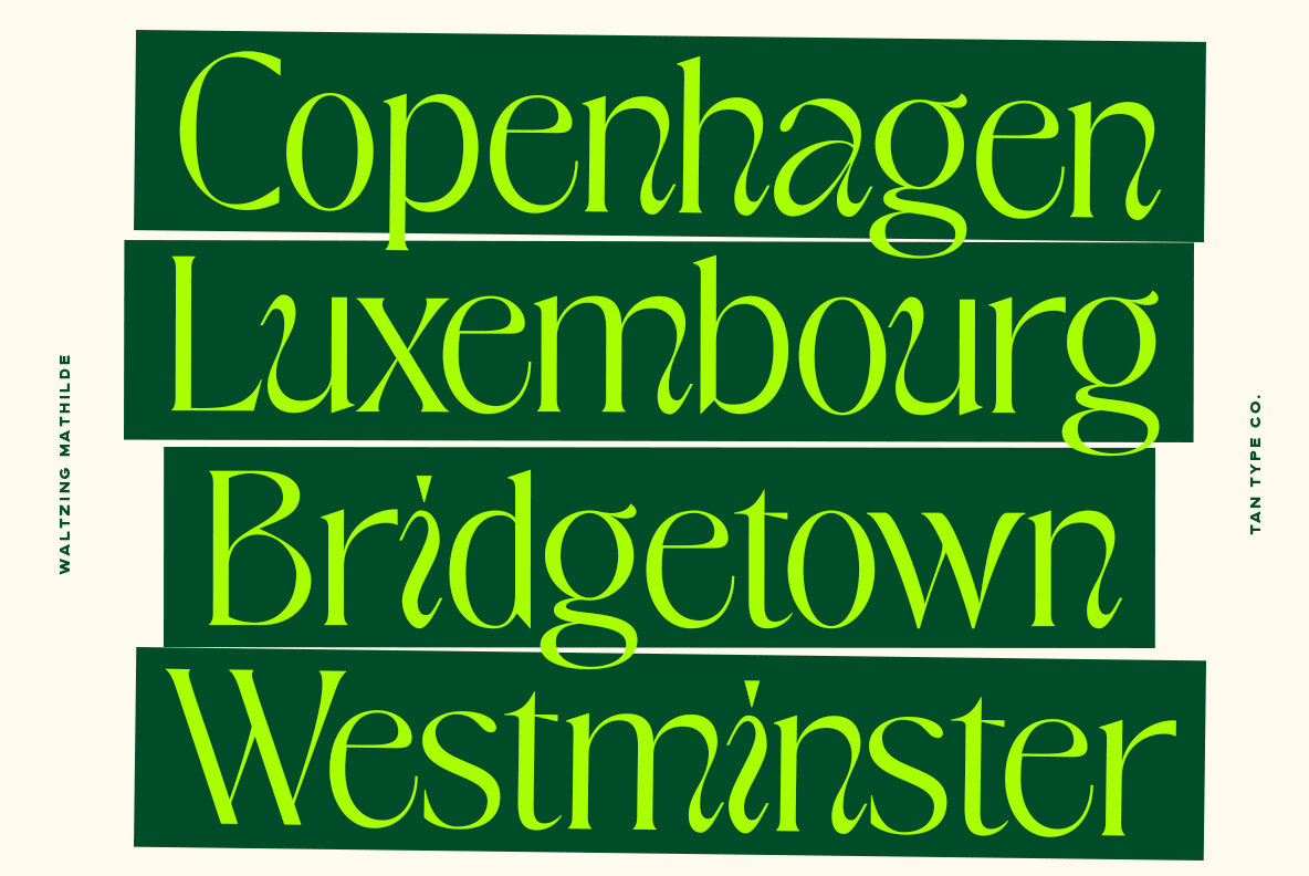 TAN Waltzing Mathilde 5