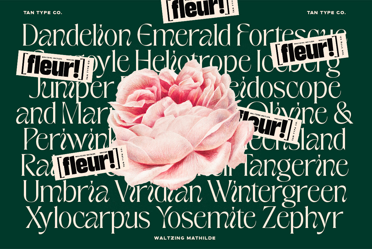 TAN Waltzing Mathilde 6