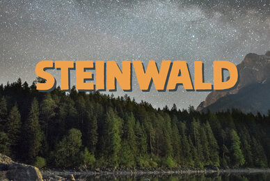 Steinwald