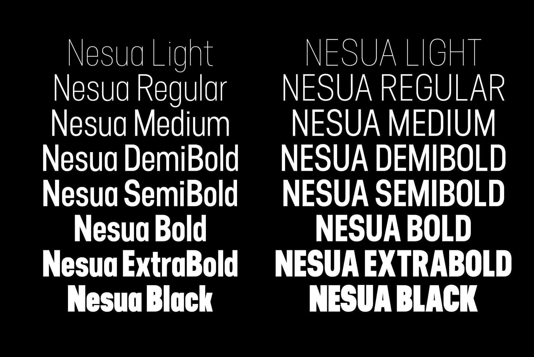 Neusa 6
