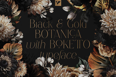 Black   Gold with Boketto typeface