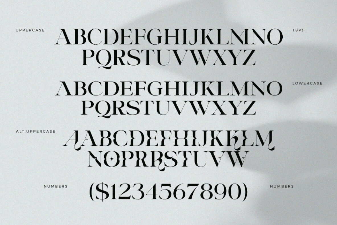 Riclose Font Duo 9