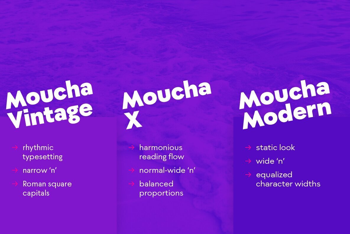 Moucha 2