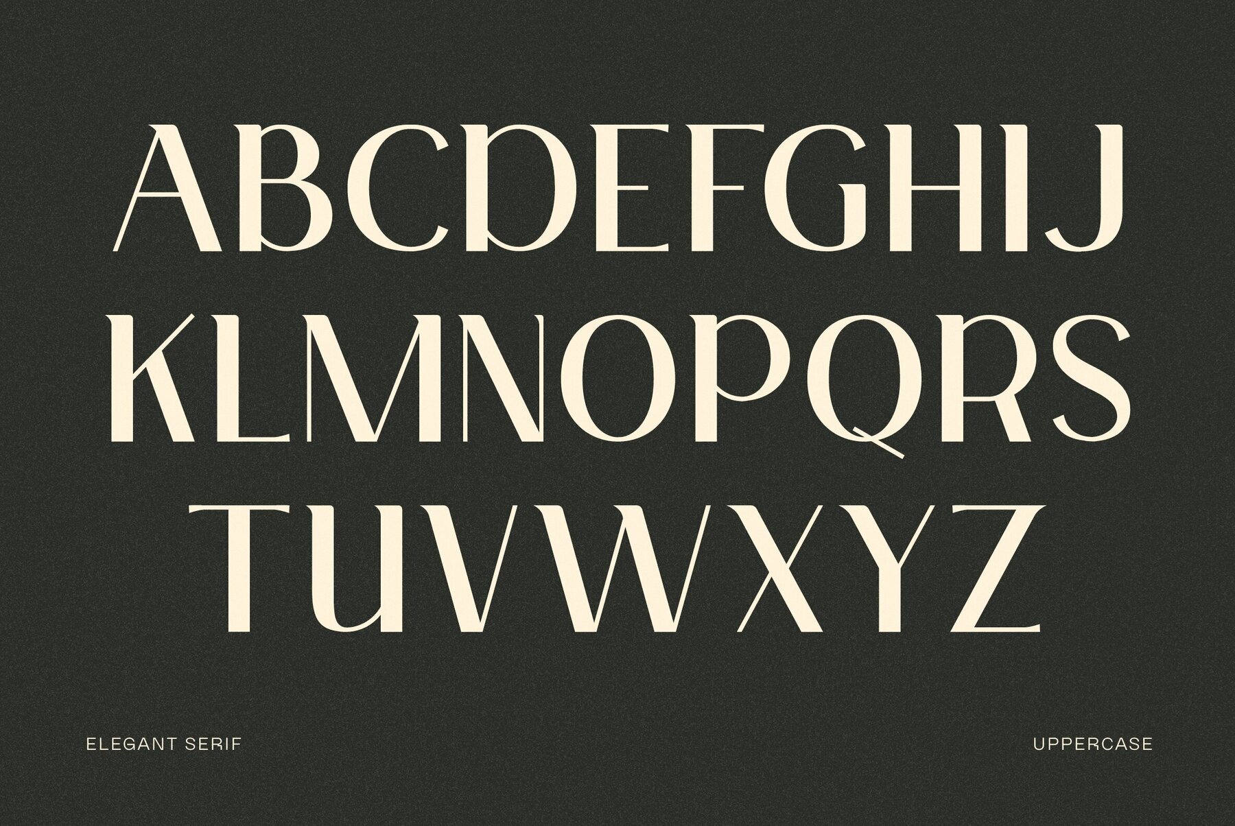 Elegant Serif 3