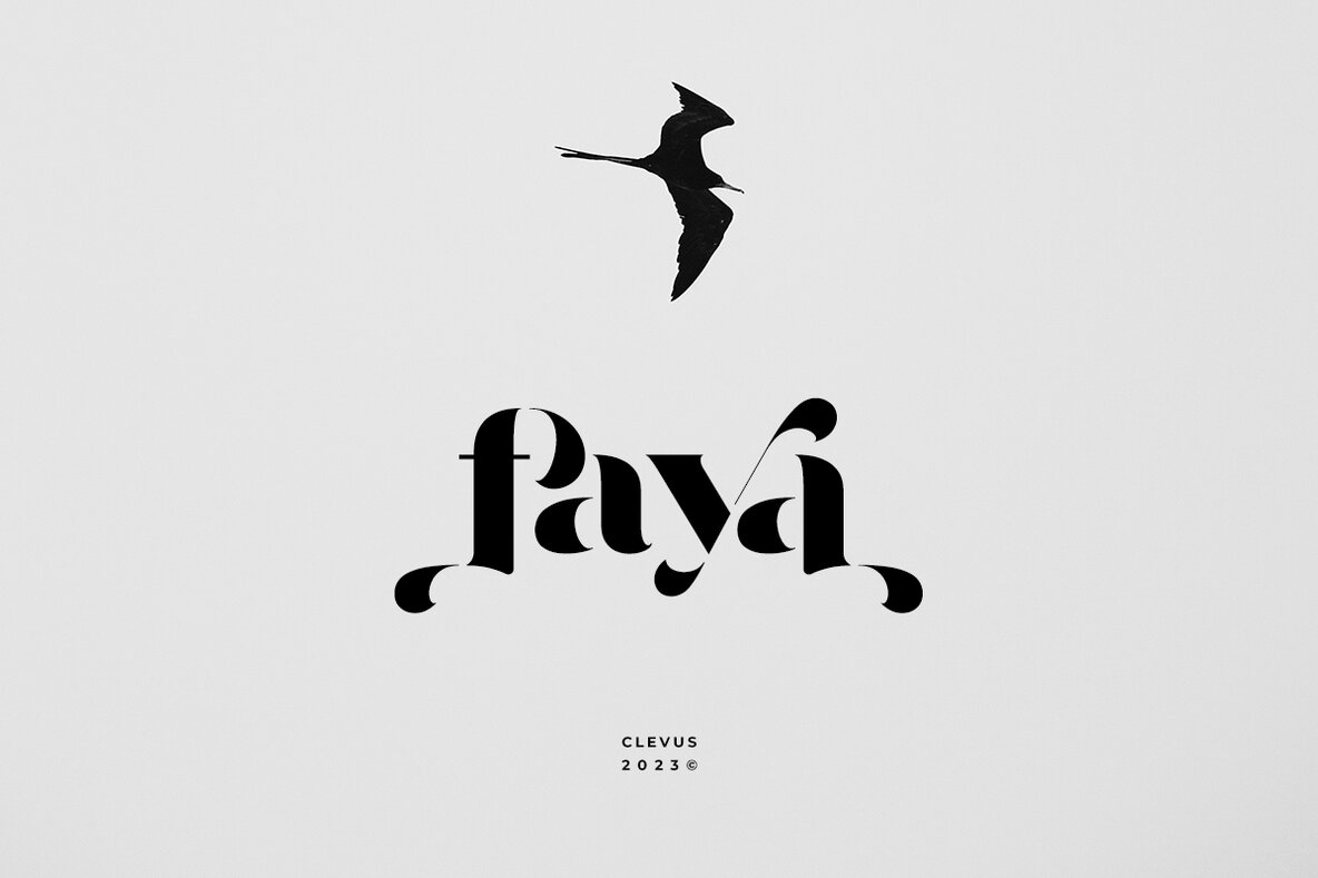 Faya 12