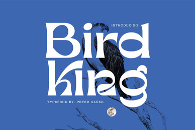 Bird King