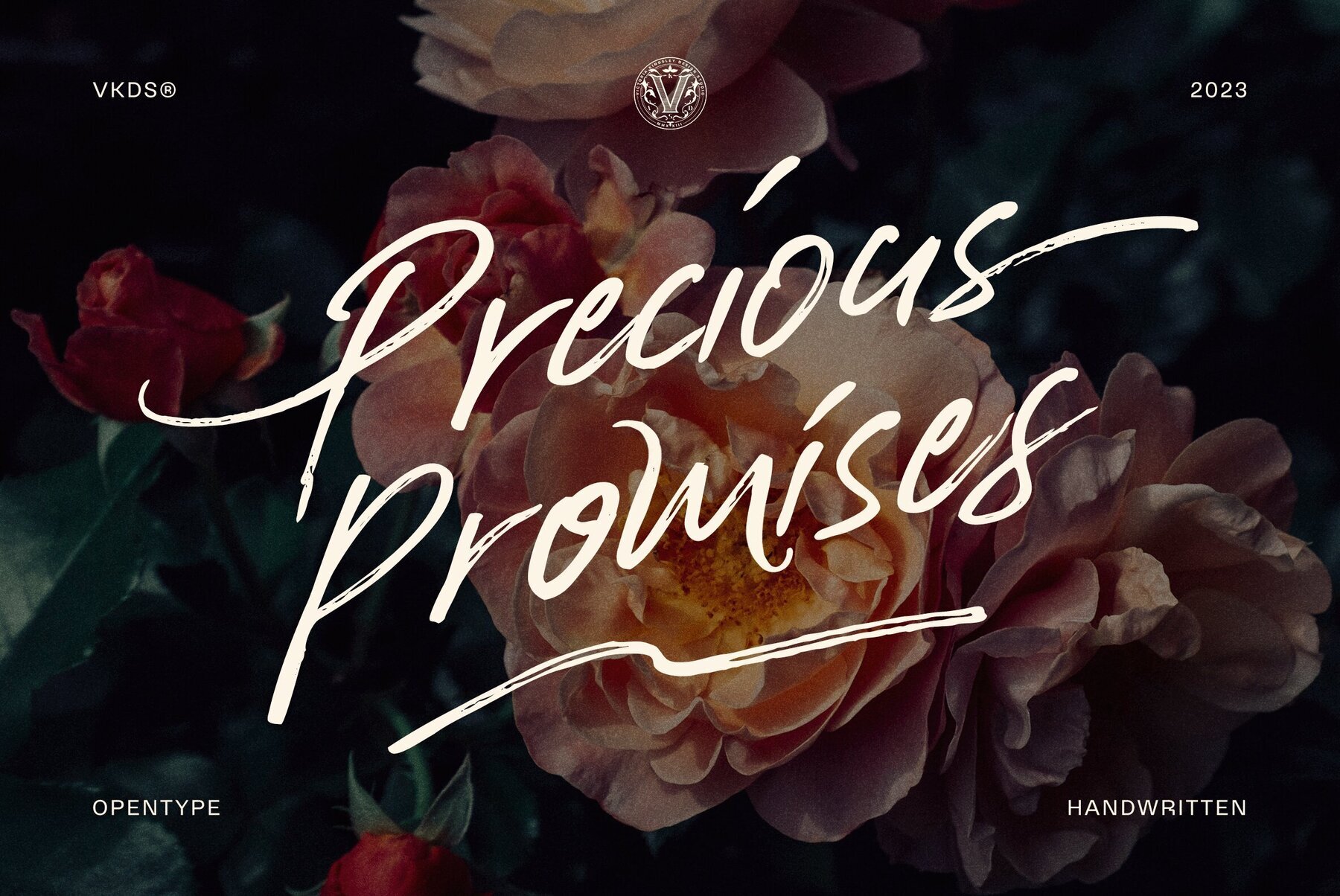 Precious Promises 1