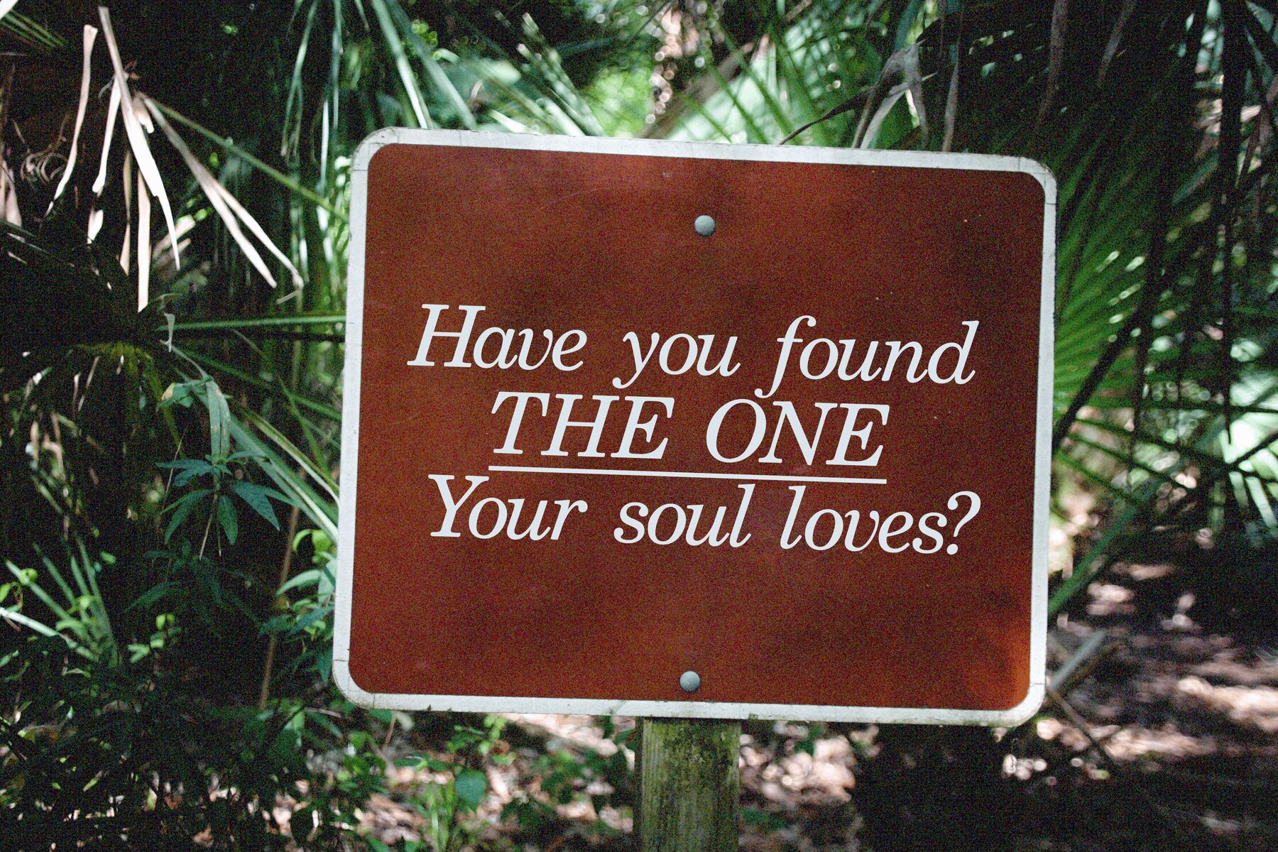 Eco Friendly Market 7