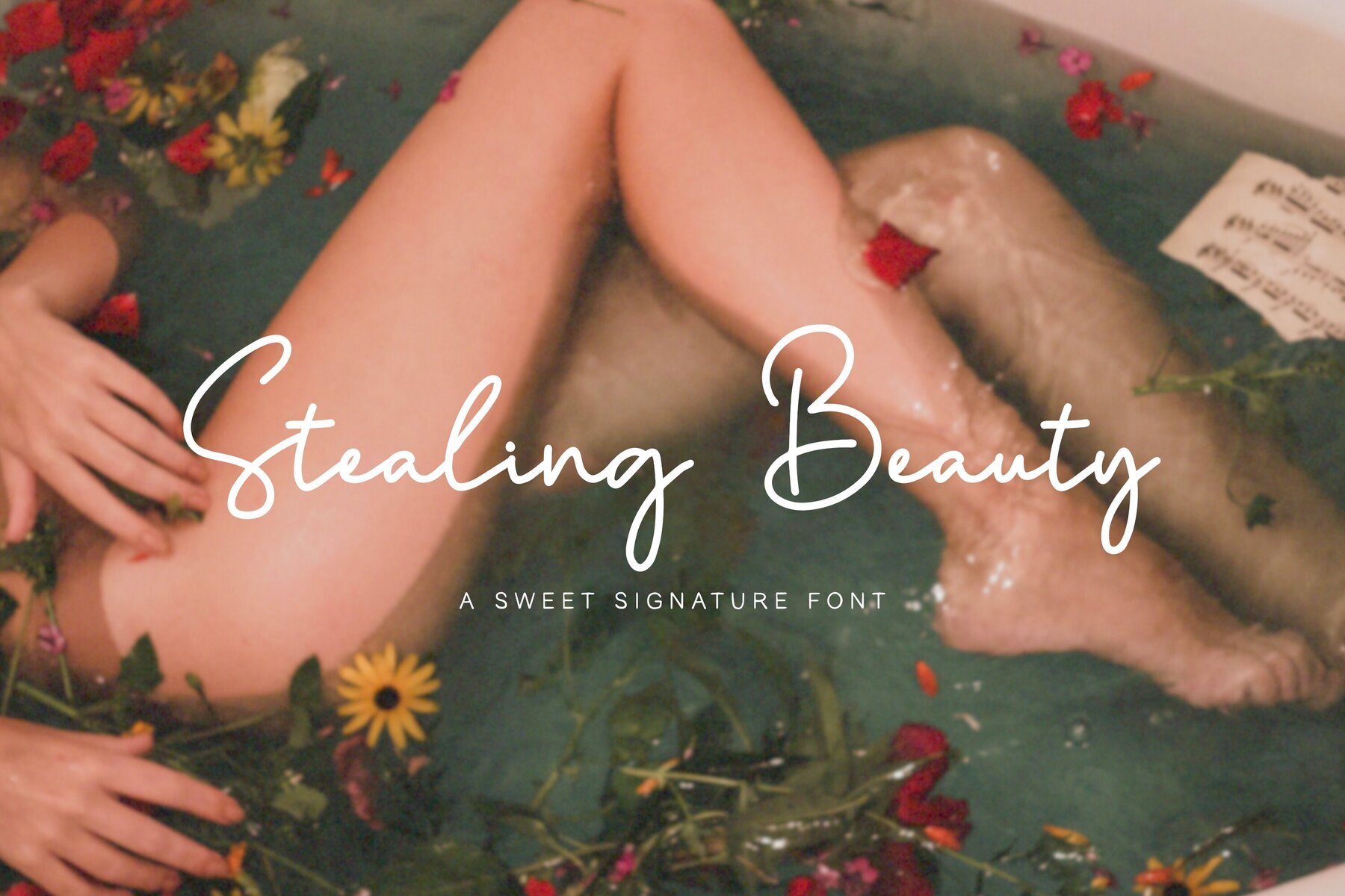 Stealing Beauty 1