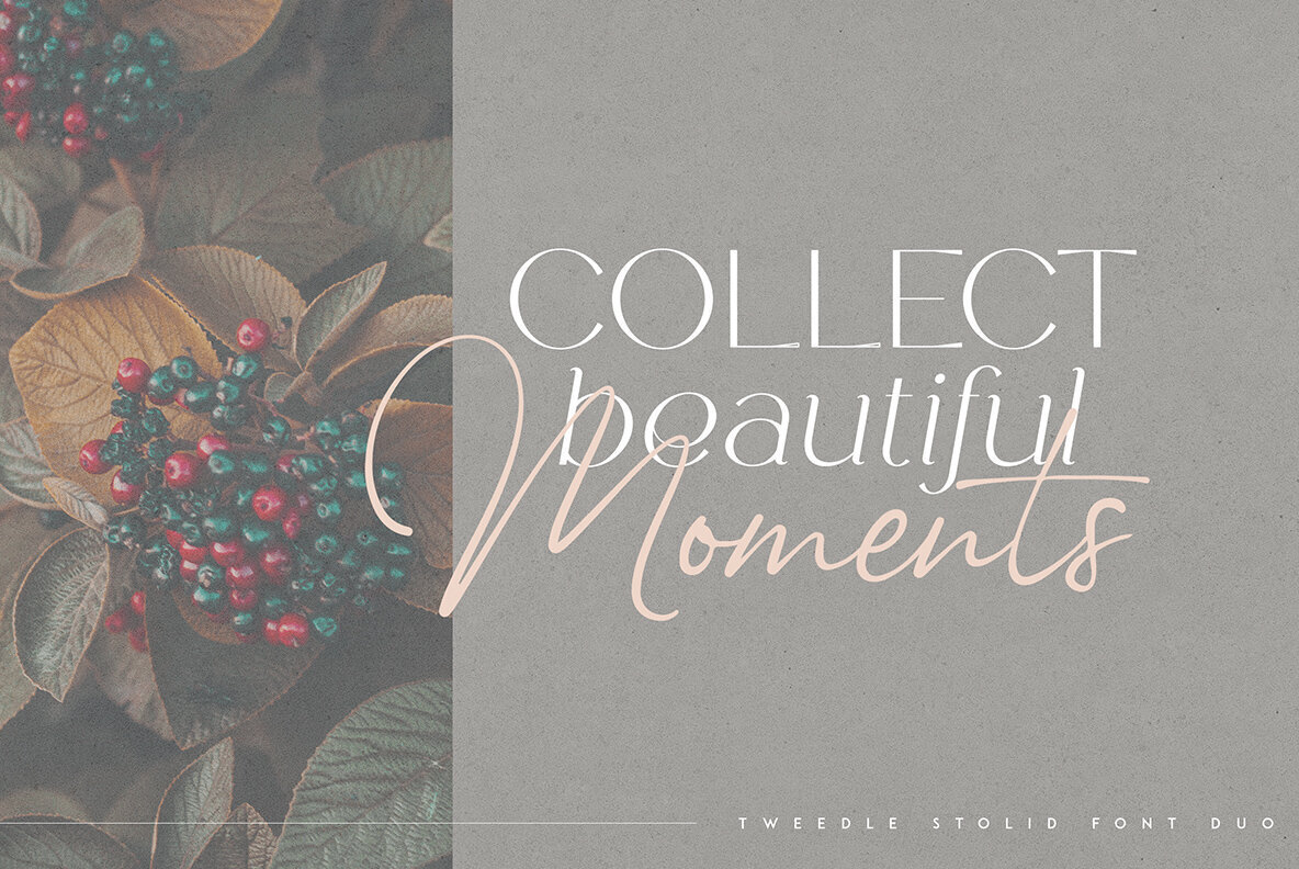 Tweedle and Stolid 2