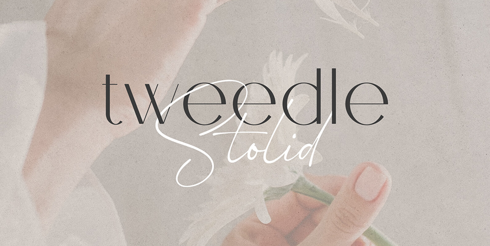 Tweedle and Stolid