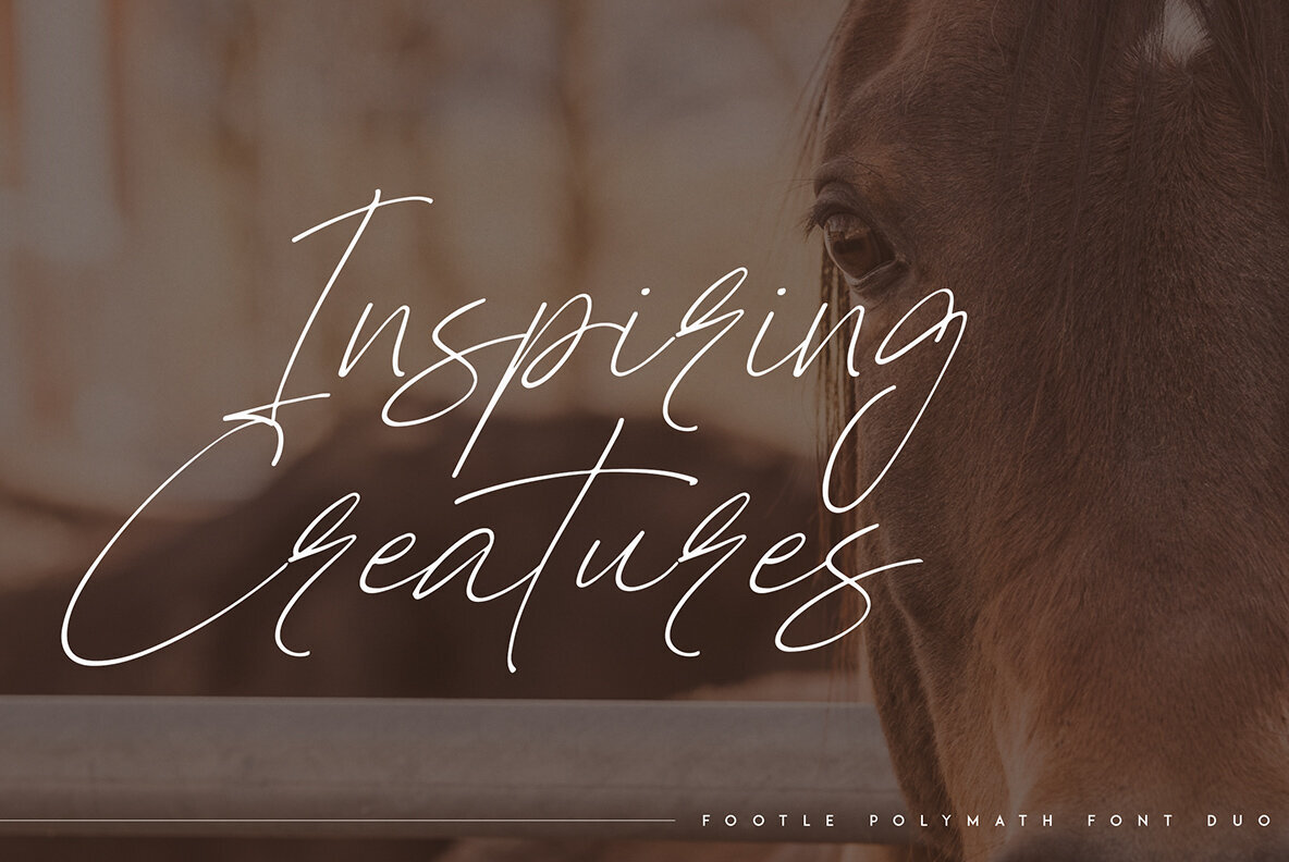 Footle and Polymath 9