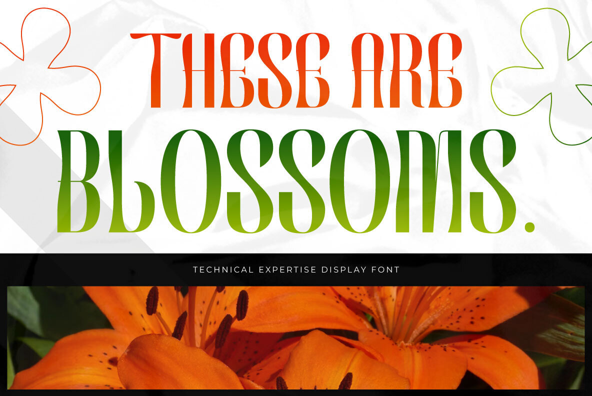 Technical Expertise 3