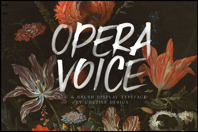 Opera Voice