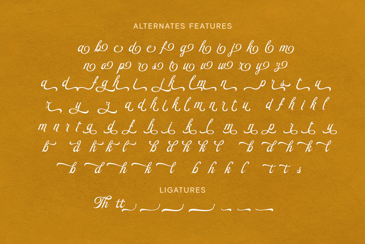 Beauty Reflections 8