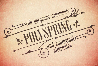 Polyspring