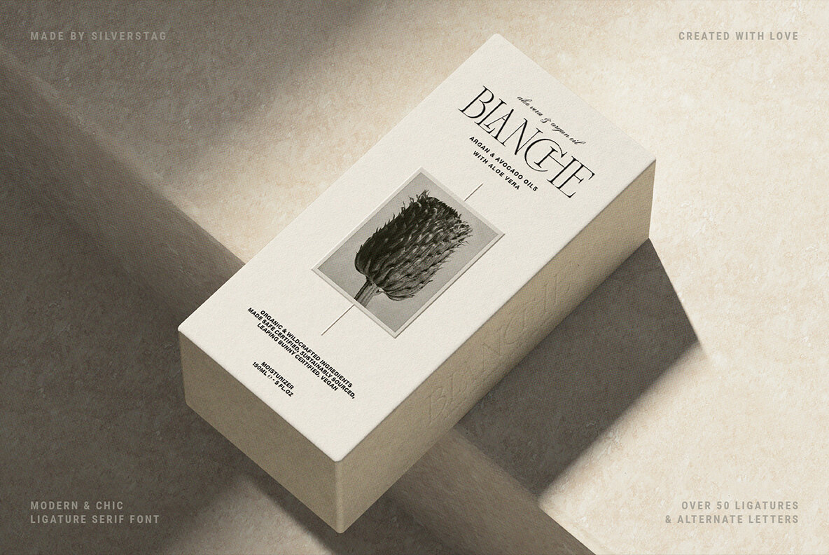 Modern Font Bundle Volume 4 12