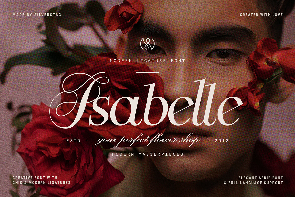 Modern Font Bundle Volume 4 19