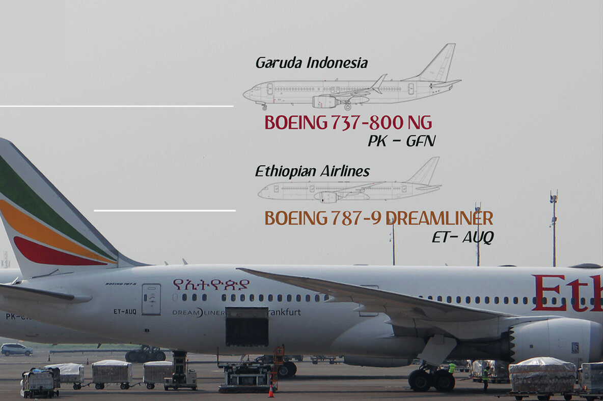 Magnolia Rainflower 3