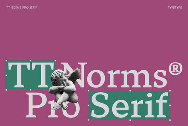 TT Norms   Pro Serif