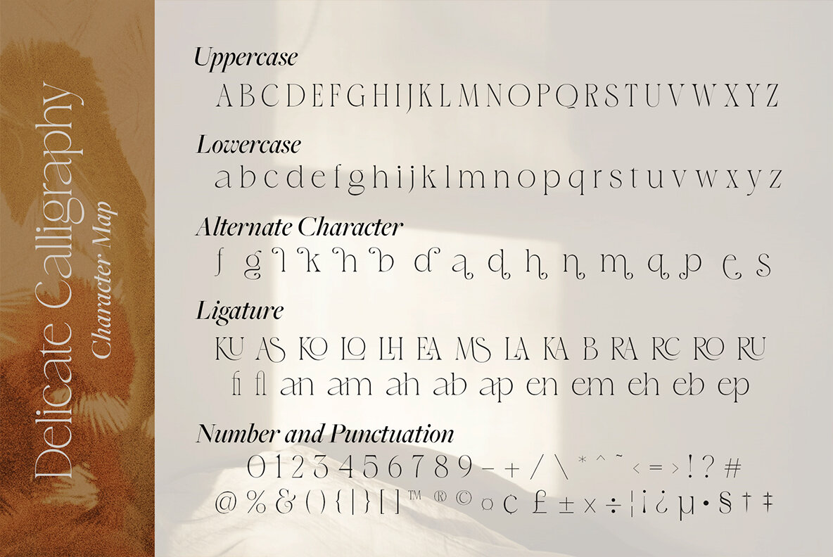 Delicate Calligraphy 14